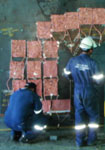 TRATAMIENTO TERMICO
